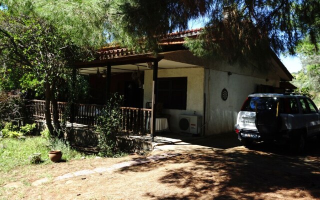 Jimmys House