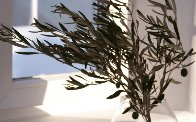 Mykonos Moussa Suites