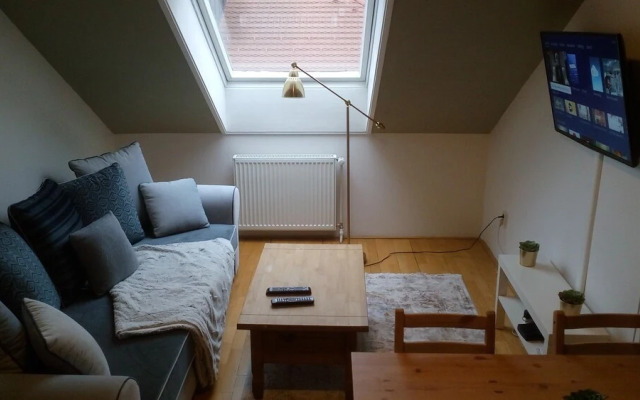 Ruzova Spot Apartments