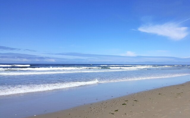 Knee Deep In Paradise