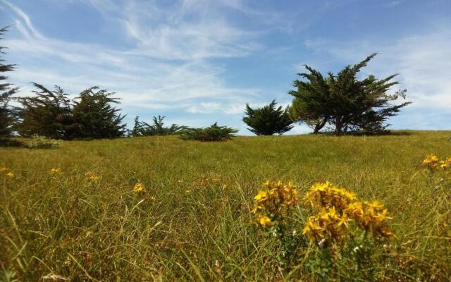 Bungalow tranquille entre océan, forêt et marais