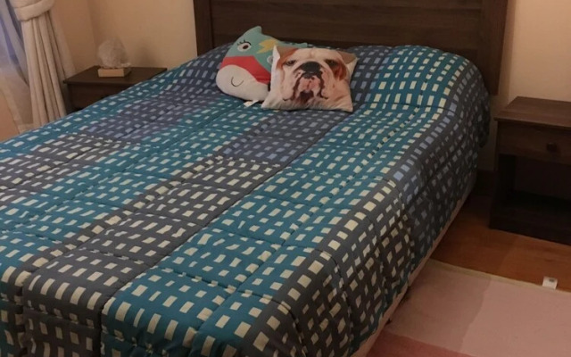 Providencia Apartment