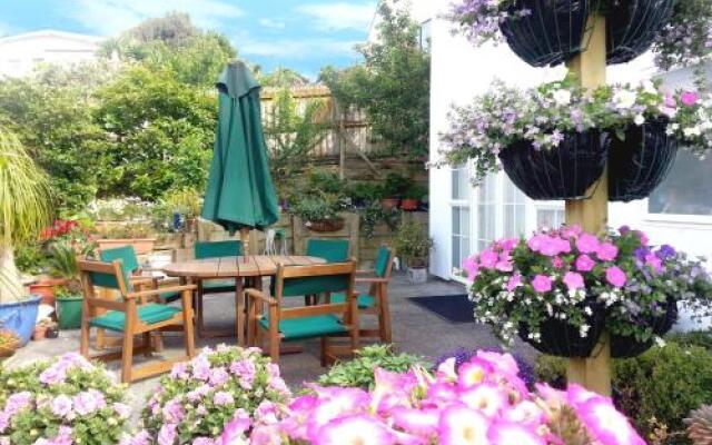 Lush & Co Auckland Bed & Breakfast