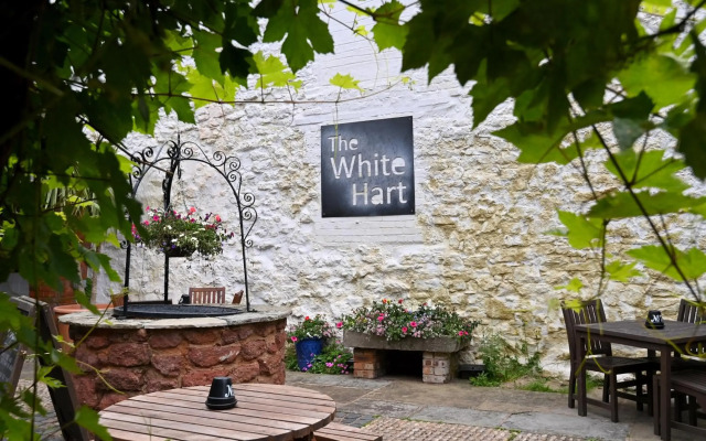 White Hart, Exeter by Marston's Inns