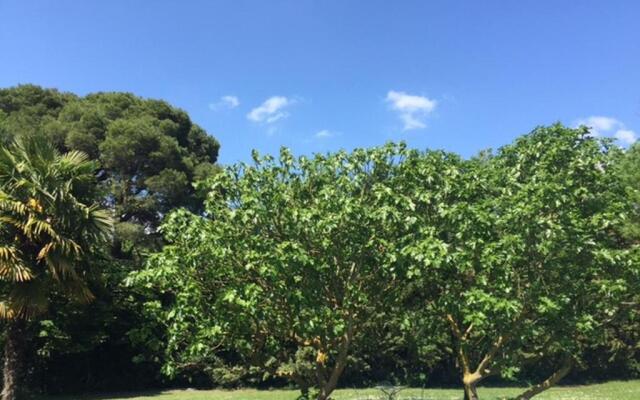 Domaine de La Forçate