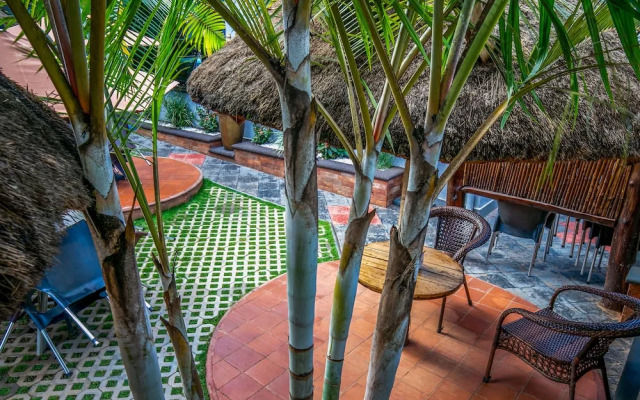 Palm Gardens and Guest House