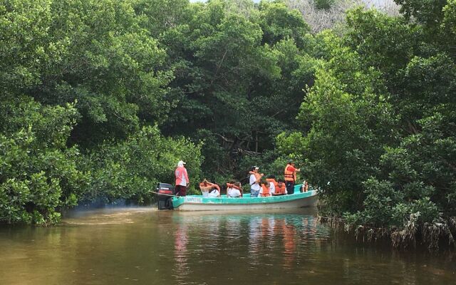 Mangrove King Fishing Lodge