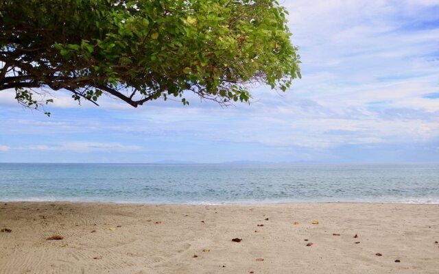 Cocoons Club Laiya