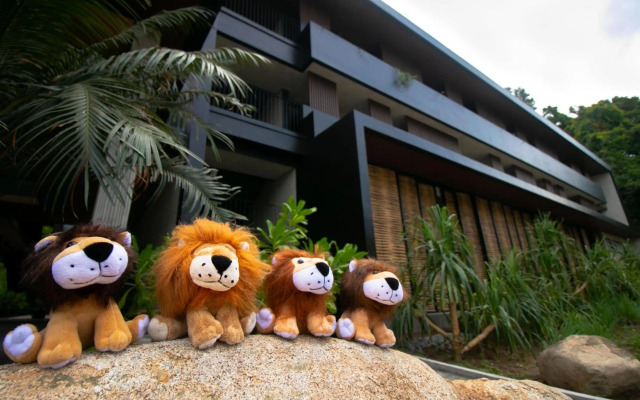 The Funny Lion El Nido