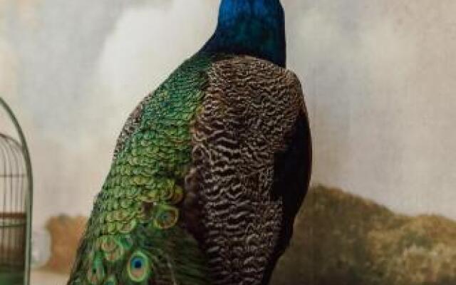 Festina Lente Guesthouse