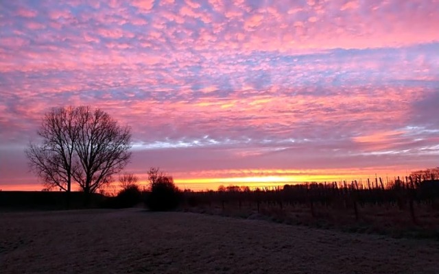 Bed and Breakfast Maas en Waal