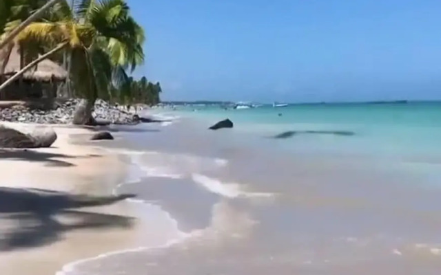 Mar Turquesa Eco Pousada