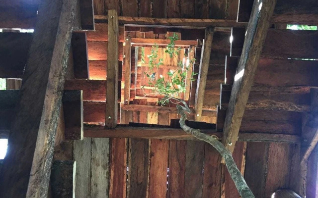 Ajal Tulum Tree House