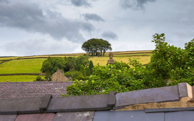 Millies Hayfield