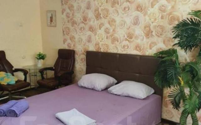 Апартаменты на проспекте Красного Знамени 114