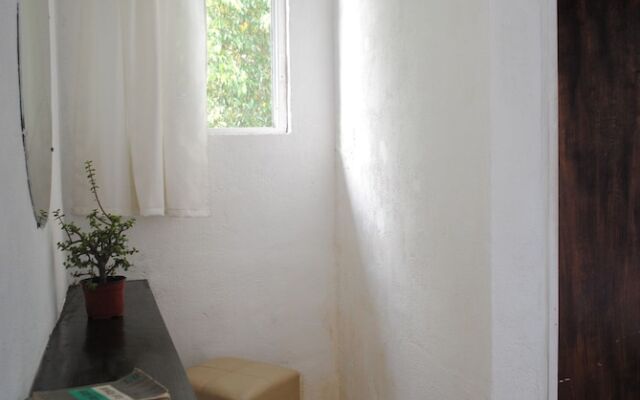 Lobo Inn - Hostel