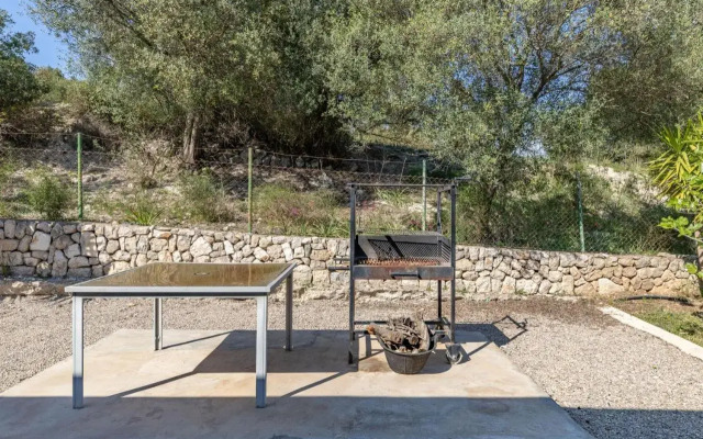 Selva-3834 Mallorca