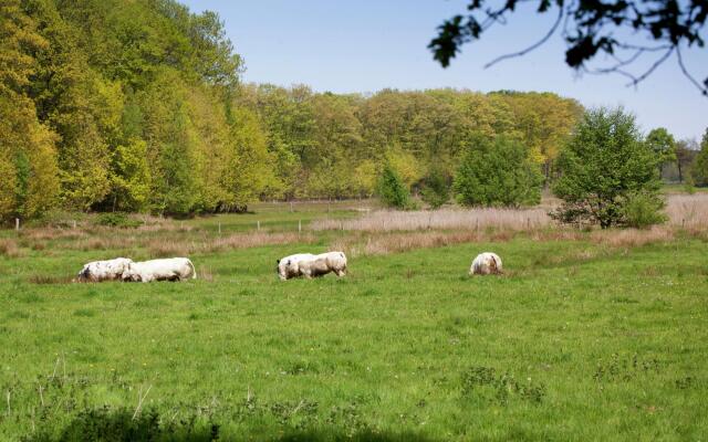 Magnificent Farmhouse in Sint Joost