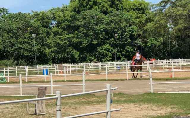 Glamping @ Bukit Timah HorseCity