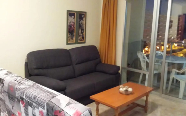 Palmeral de Torrevieja