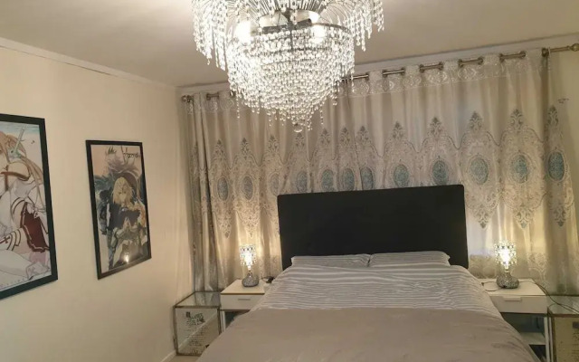 waterview Room and cabin