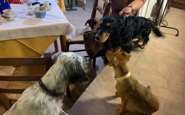 Setter House Agri Hotel