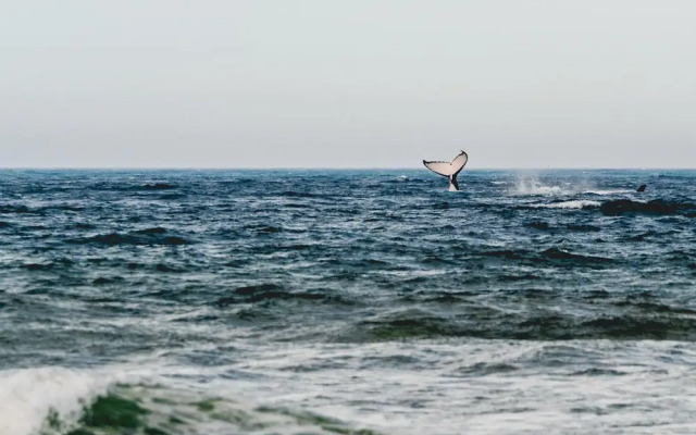 Ingenia Holidays Bonny Hills