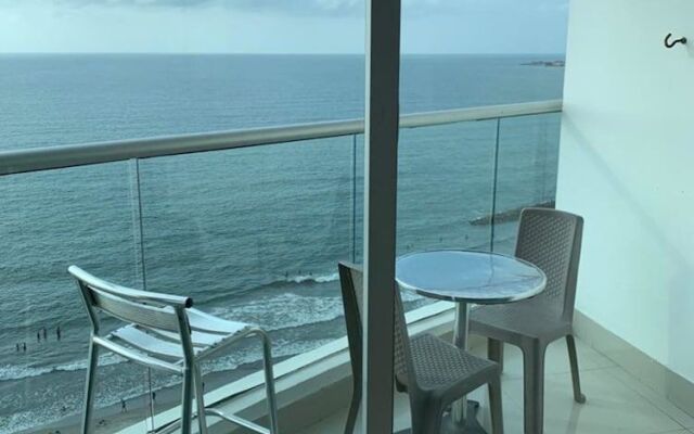 Palmetto Eliptic 1501