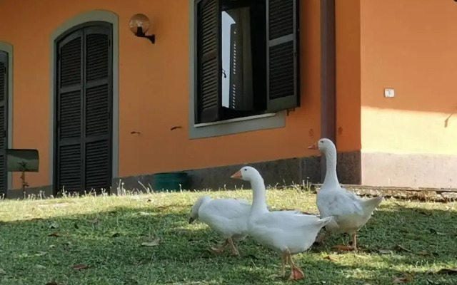 Rome Within Reach Relaxation, Nature, and a Private Pool!