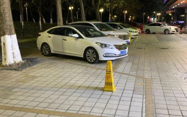 GreenTree Alliance Hotel (Foshan Pingzhou Jade Street)