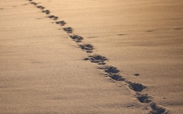 Ferienwohnungen Matzner