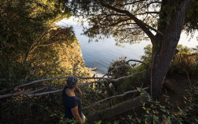 Ville Pini e Aurelia