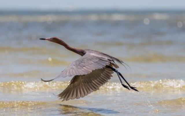 Sandpiper Beach #405