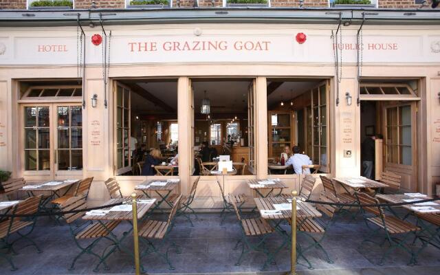 The Grazing Goat