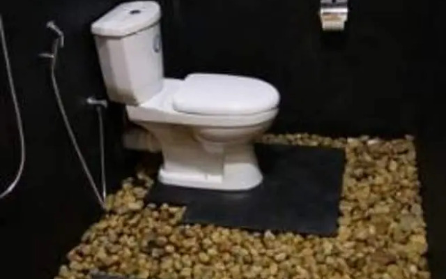 Wildlife Safari House