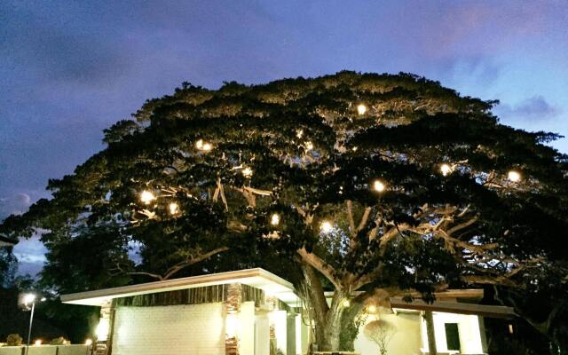 Serviced Apartments by Eco Hotel Bohol