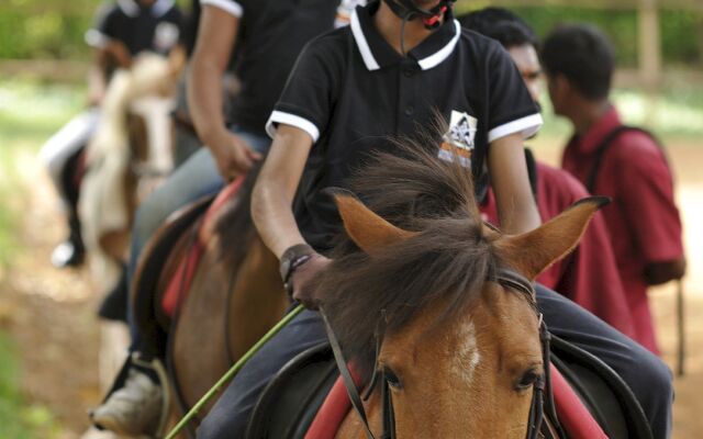 Embassy International Riding School