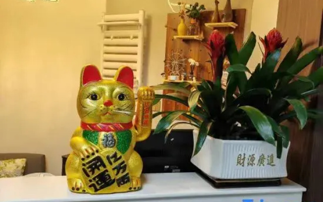 Roman Homestay (Liupanshui)