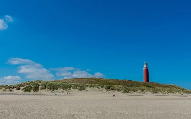 Villa on Texel Near Beach and Forest