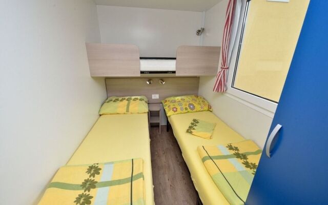 Iva - Great Garden - H