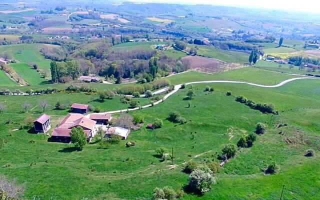 Alpagas Du Domaine Mael
