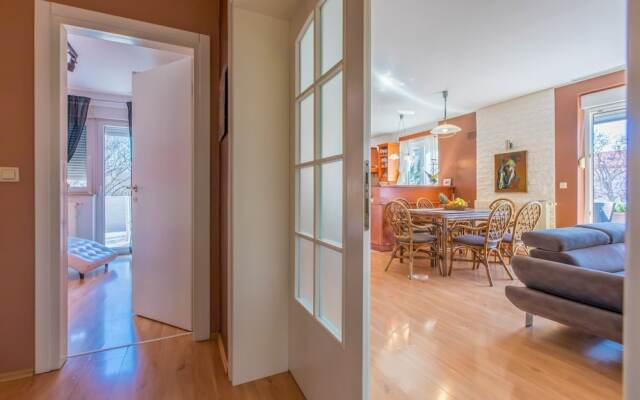 Apartment Alin