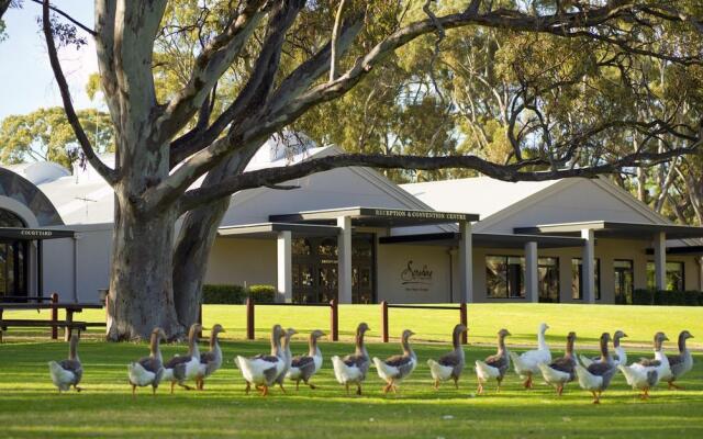 Serafino McLaren Vale