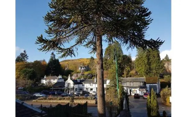 OYO Mackays Travel Lodge Hotel