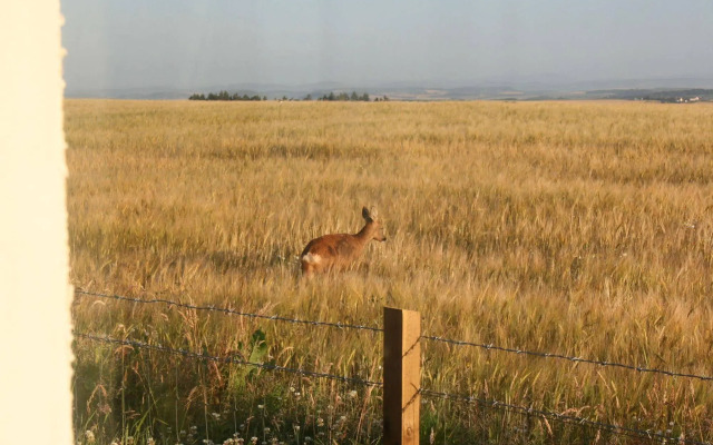 Tarskavaig Bed & Breakfast