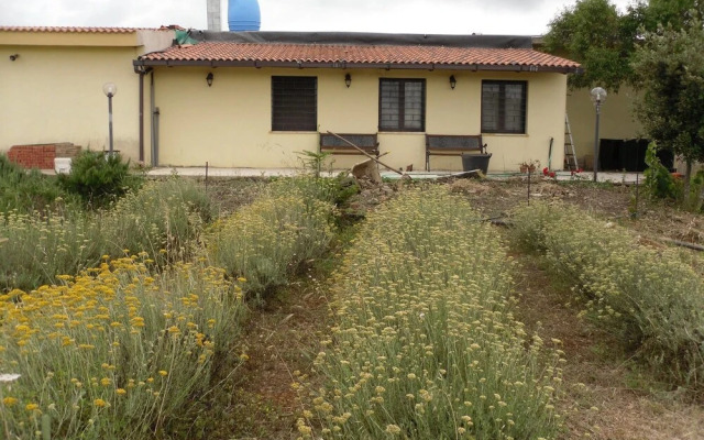 Fragus e Saboris de Sardigna