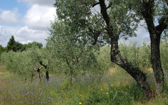 Agriturismo Walden
