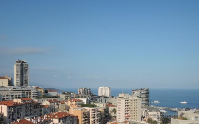 Overlooking Monte Carlo (Moneghetti)