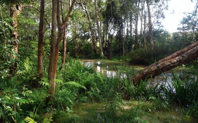 Glass House Mountains Ecolodge