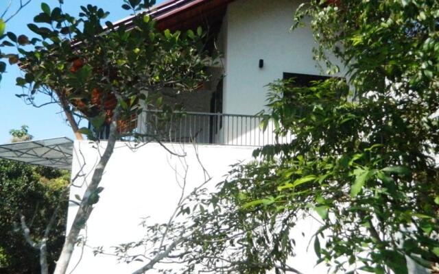 Birds Paradise Hotel